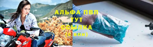 ГАЛЛЮЦИНОГЕННЫЕ ГРИБЫ Коряжма