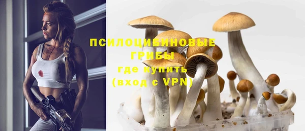 круглые Козловка
