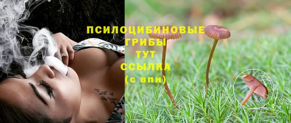 круглые Козловка